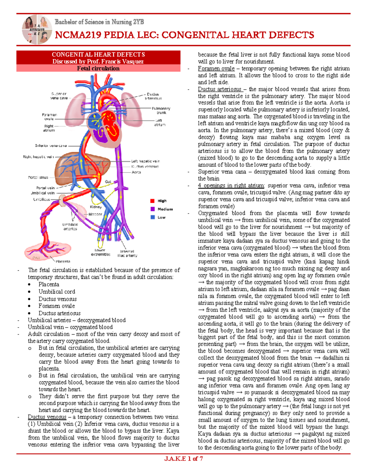 WK10 - Congenital Heart Disease - Bachelor of Science in Nursing 2YB ...