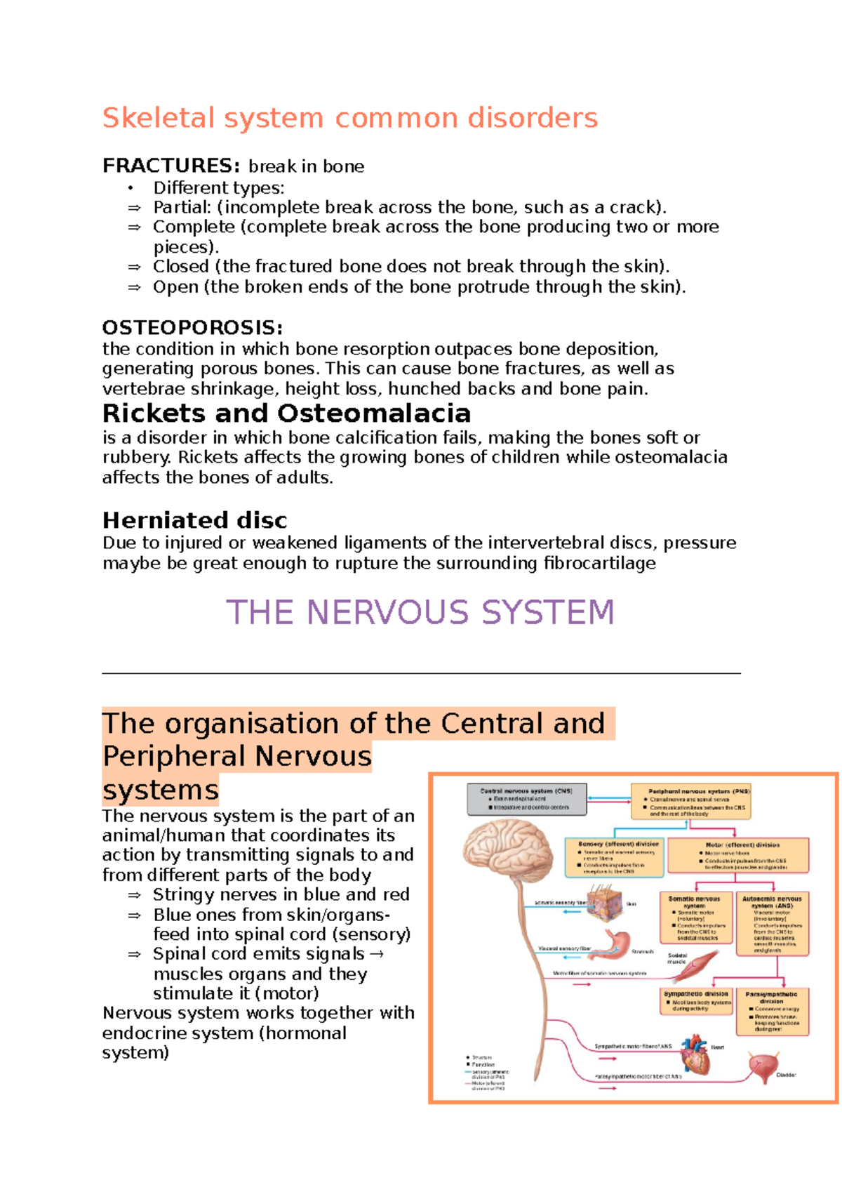 Skeletal system common disorders - Skeletal system common disorders ...