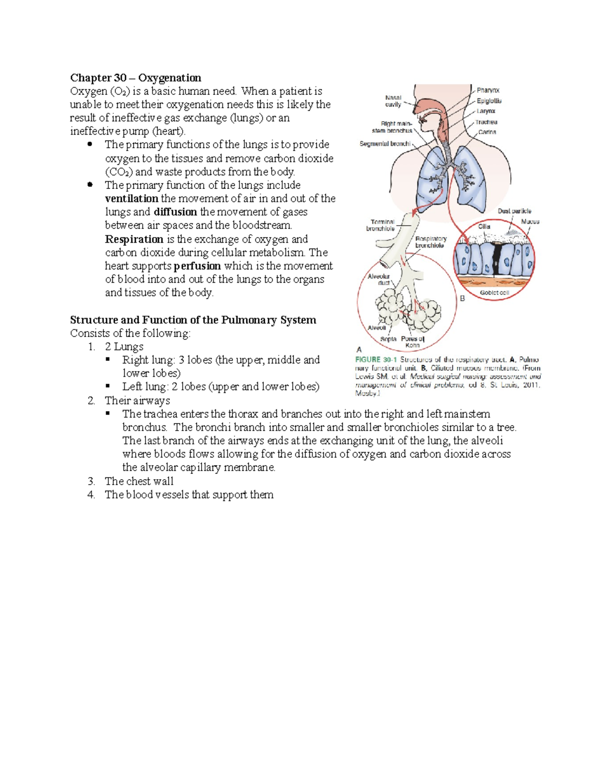 Oxygenation Summary - Chapter 30 – Oxygenation Oxygen (O 2 ) is a basic ...