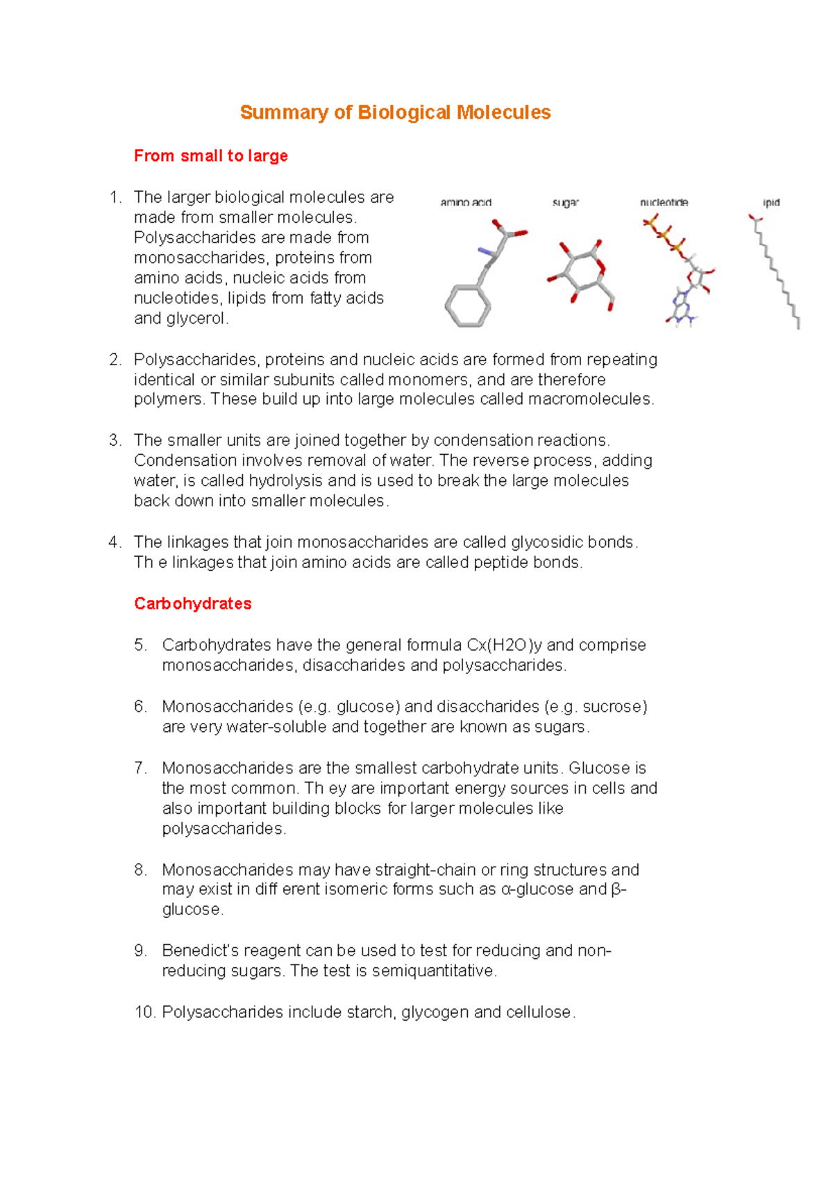 summary-of-biological-molecules-polysaccharides-are-made-from