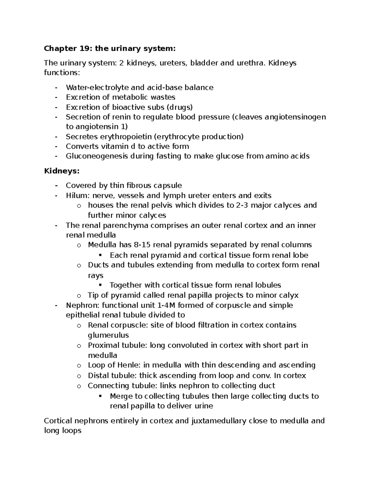 Chapter 19 - Chapter 19: the urinary system: The urinary system: 2 ...