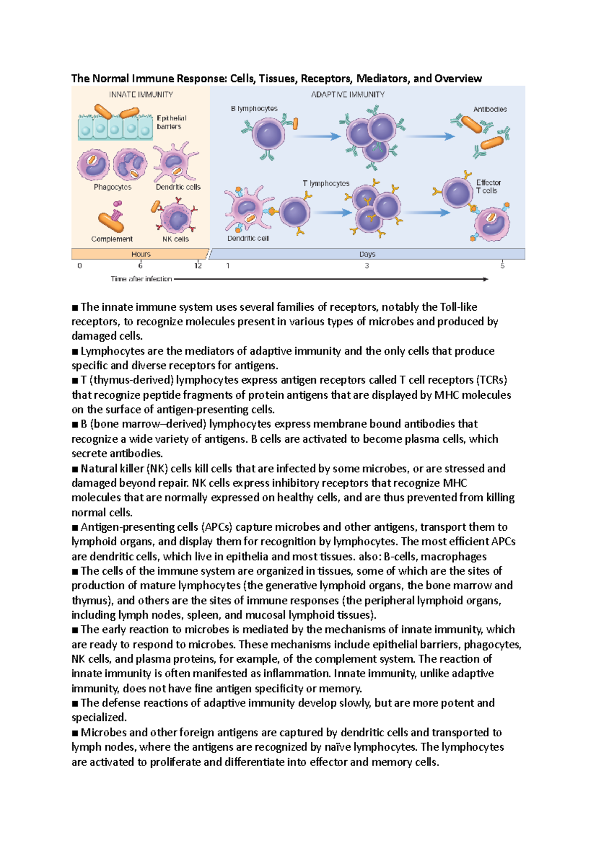 Patho Summary Immunpathologie The Normal Immune Response Cells