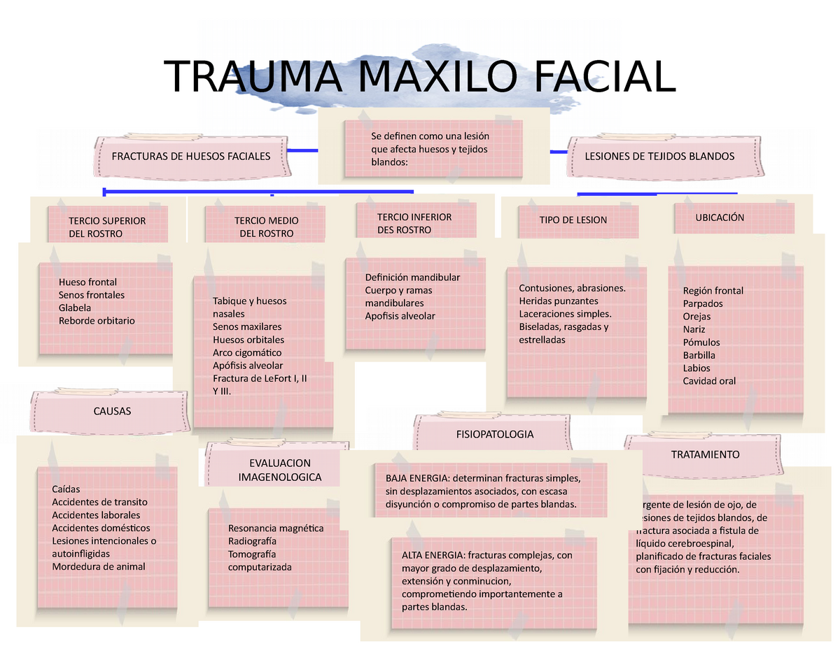 Mapa Mental Fracturas Maxilo Faciales Fracturas Mandibulares Whatsapp ...