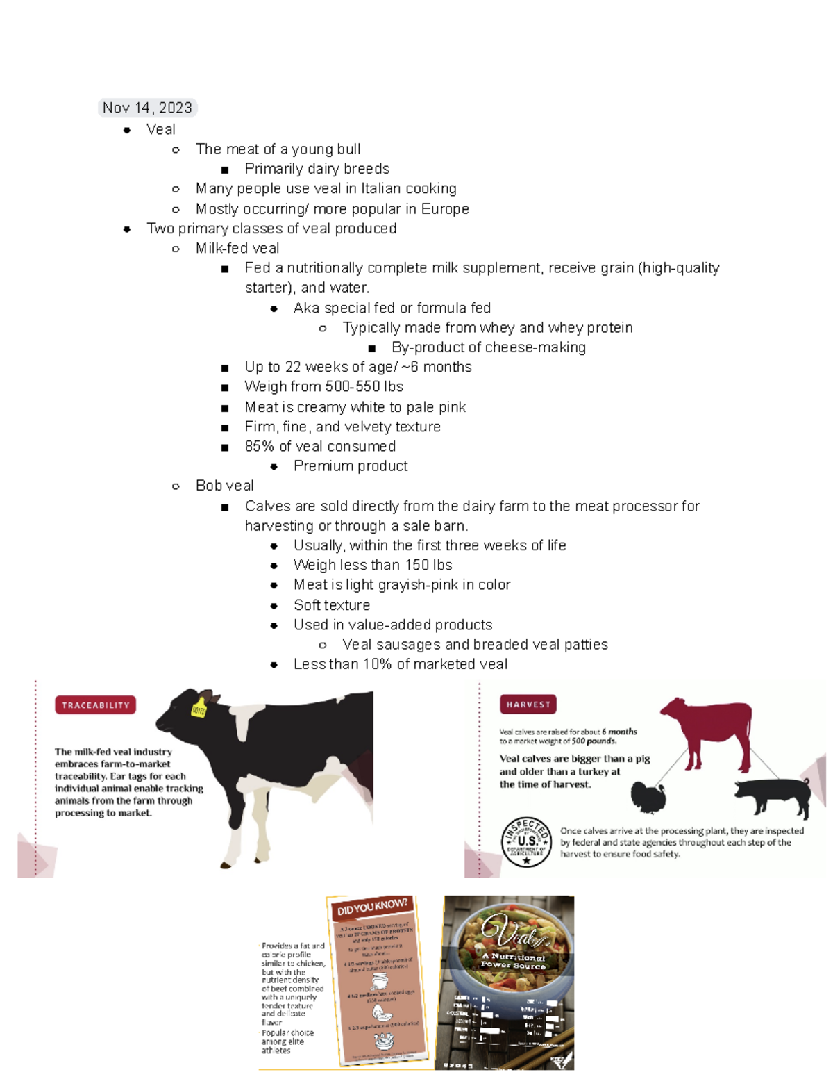 Veal lecture notes for animal science 235 with prof. burgett Nov 14