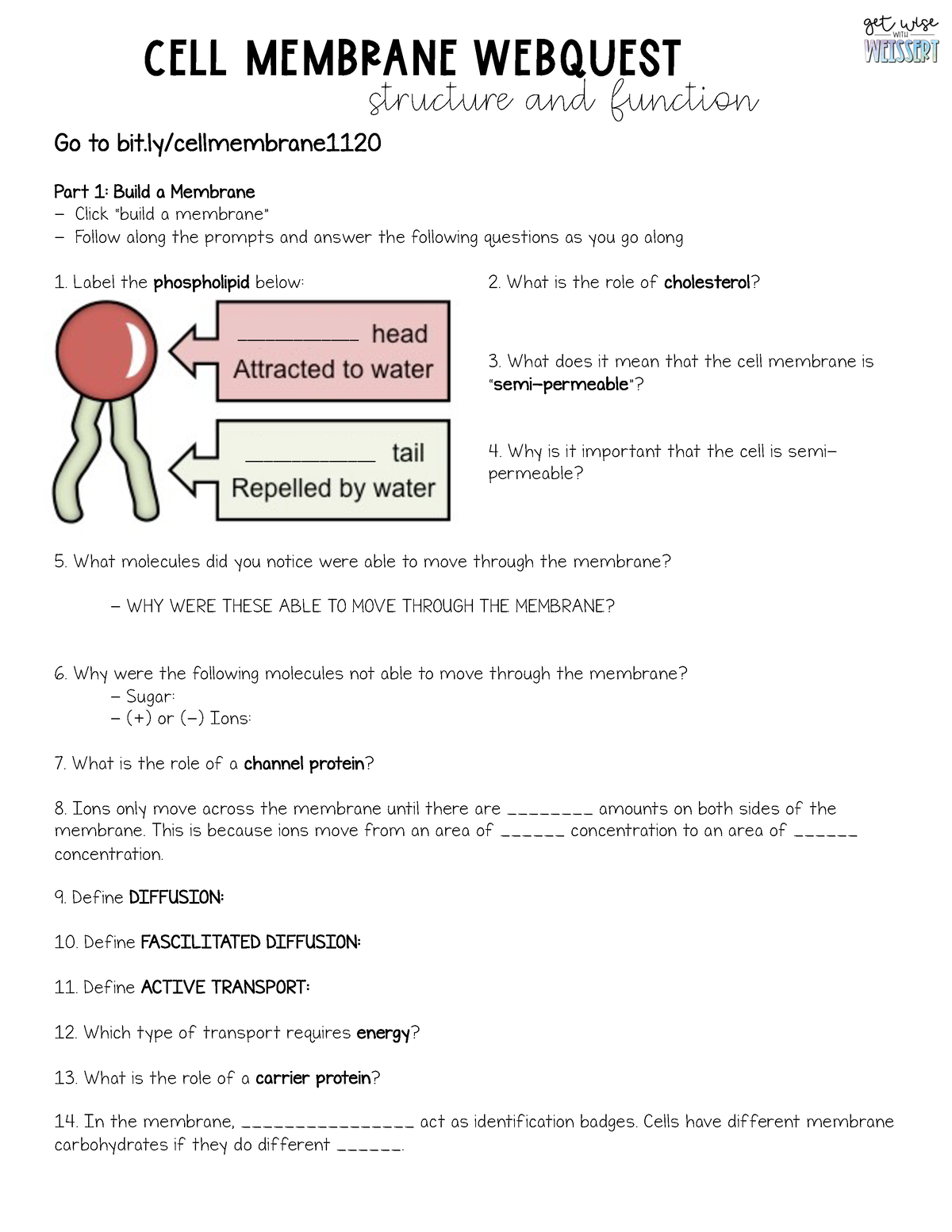 biology-cell-membrane-webquest-cell-membrane-webquest-structure-and