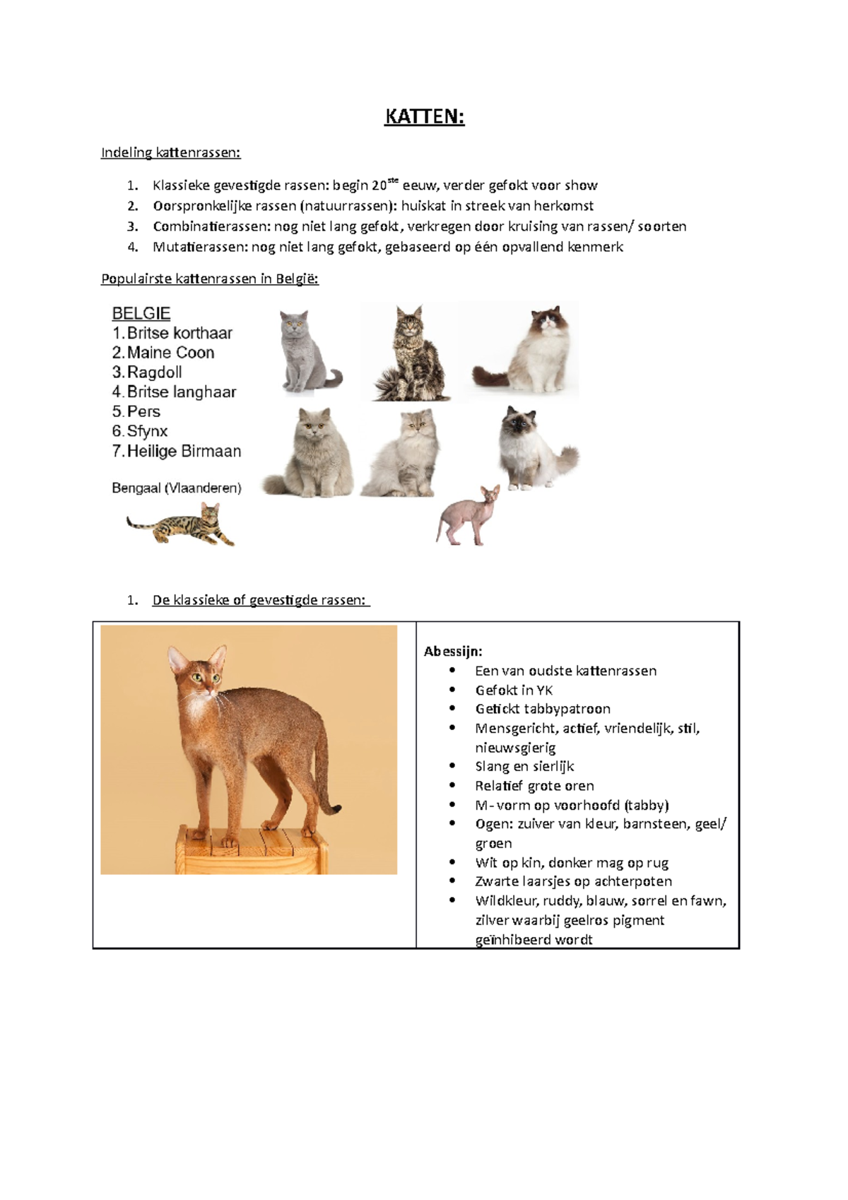 Katten - KATTEN: Indeling kattenrassen: Klassieke gevestigde rassen ...