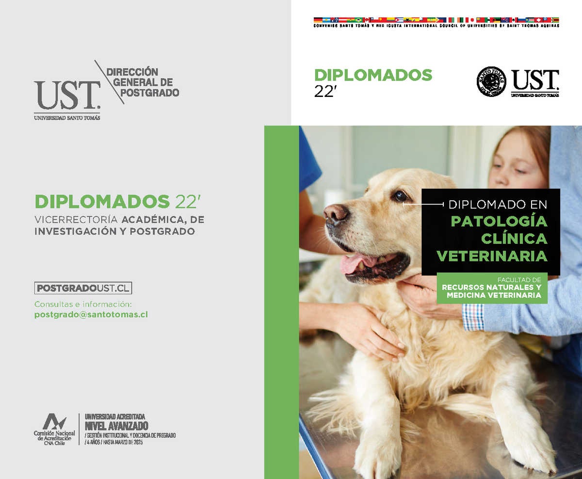 Diplomado-Patologia-Clinica-Veterinaria-22 - Consultas e información