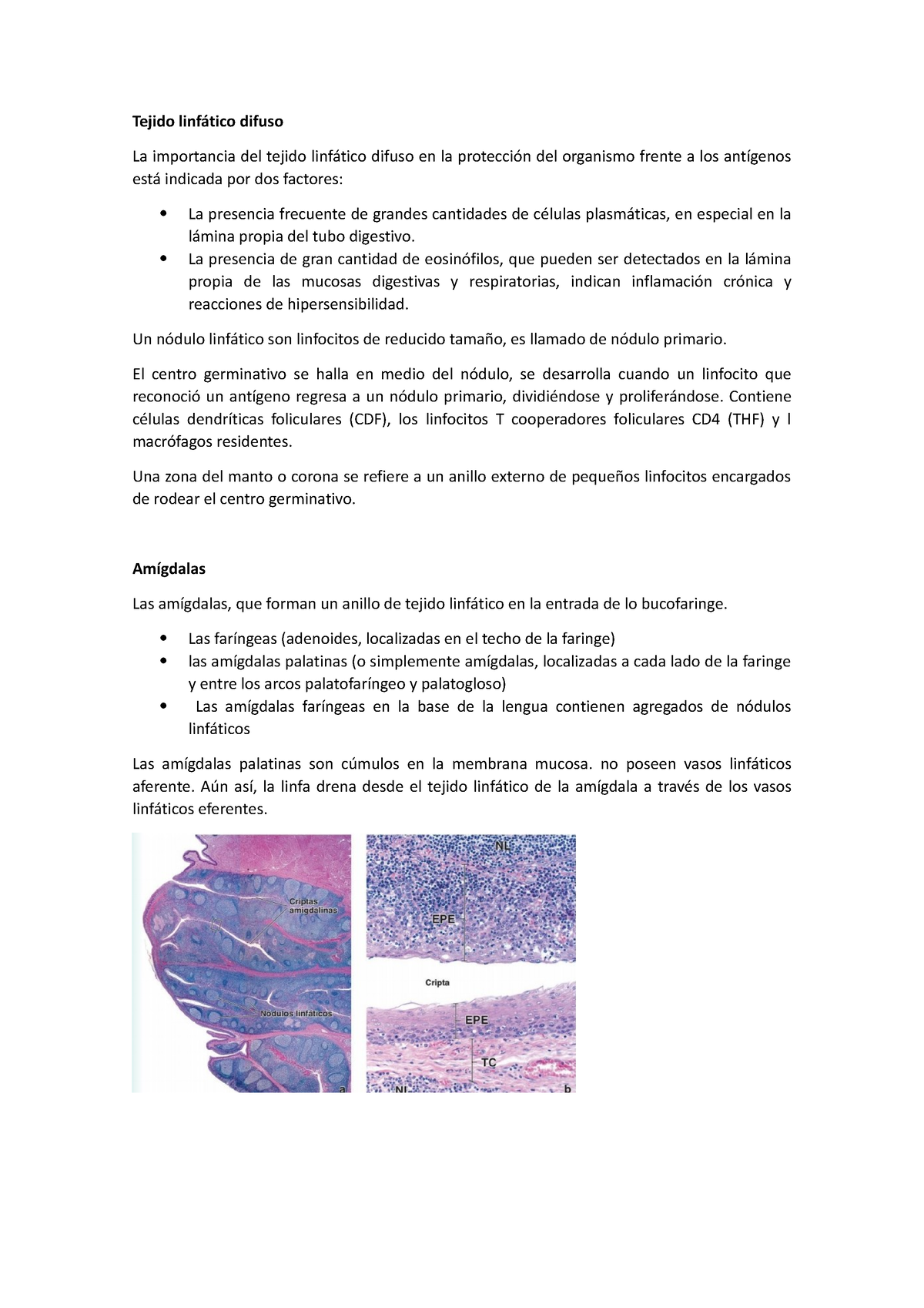 histología de las amígdalas faríngeas