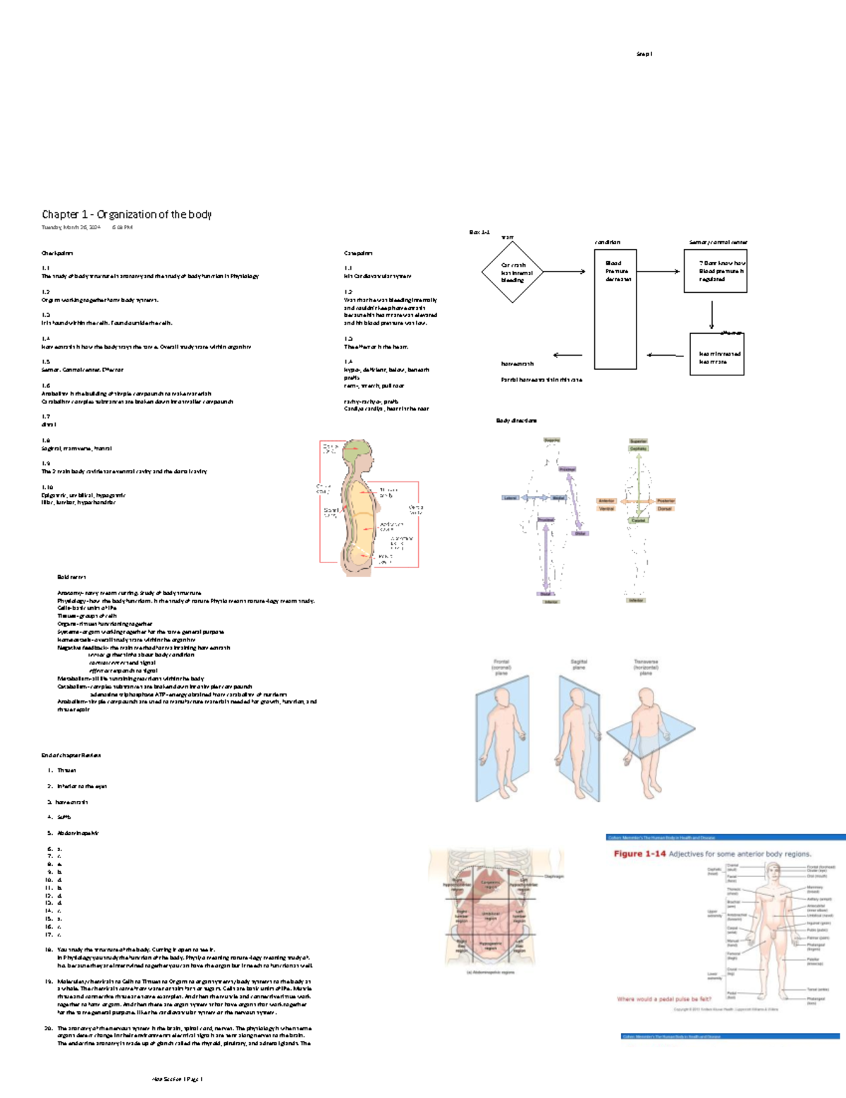Chapter 1 - Organization of the body - Checkpoints 1. The study of body ...
