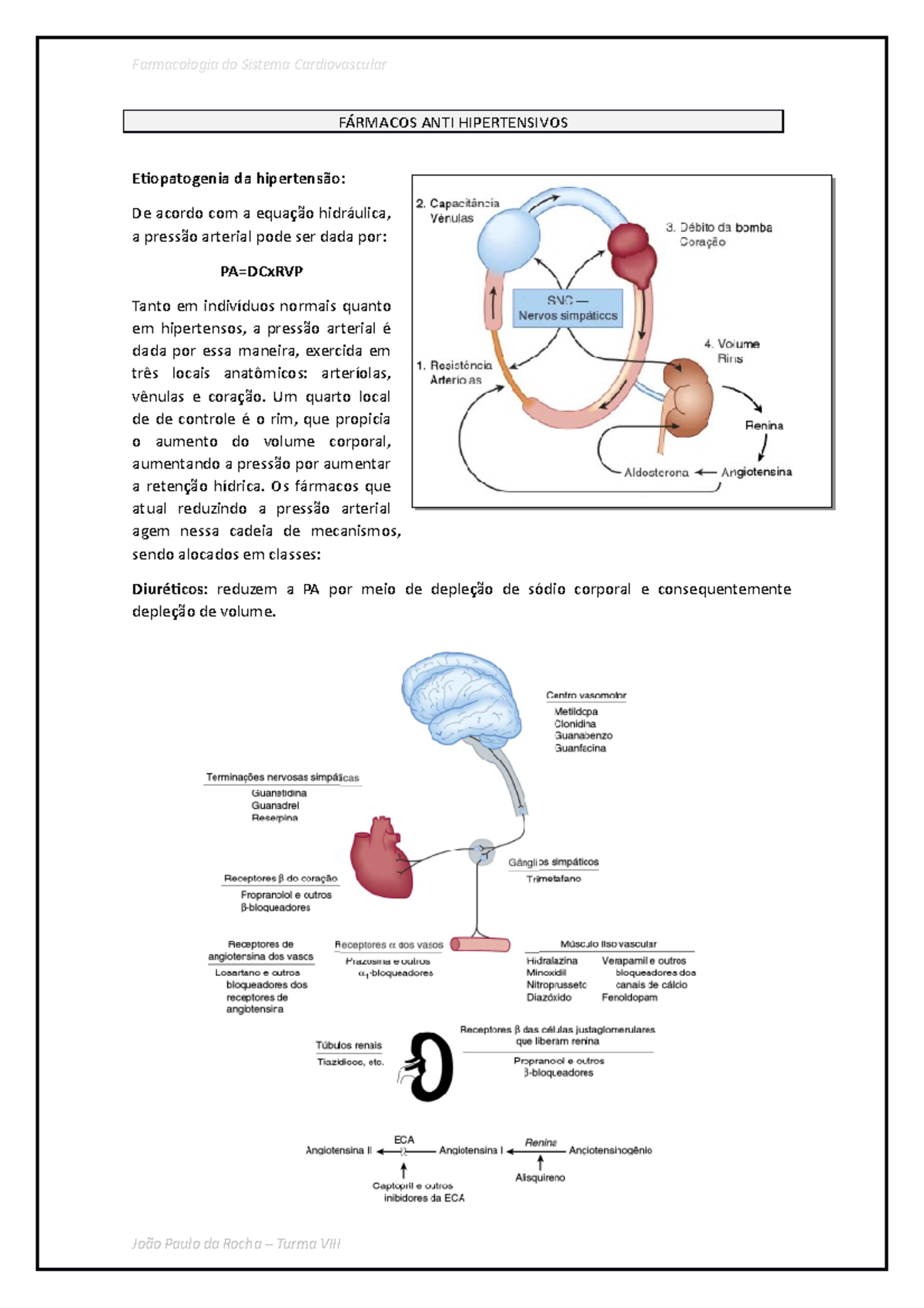 Fármacos ANTI Hipertensivos - Farmacologia Do Sistema Cardiovascular ...