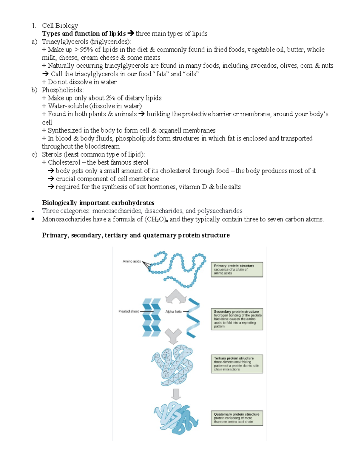 Biology - Sinh Học - Cell Biology Types And Function Of Lipids Three 