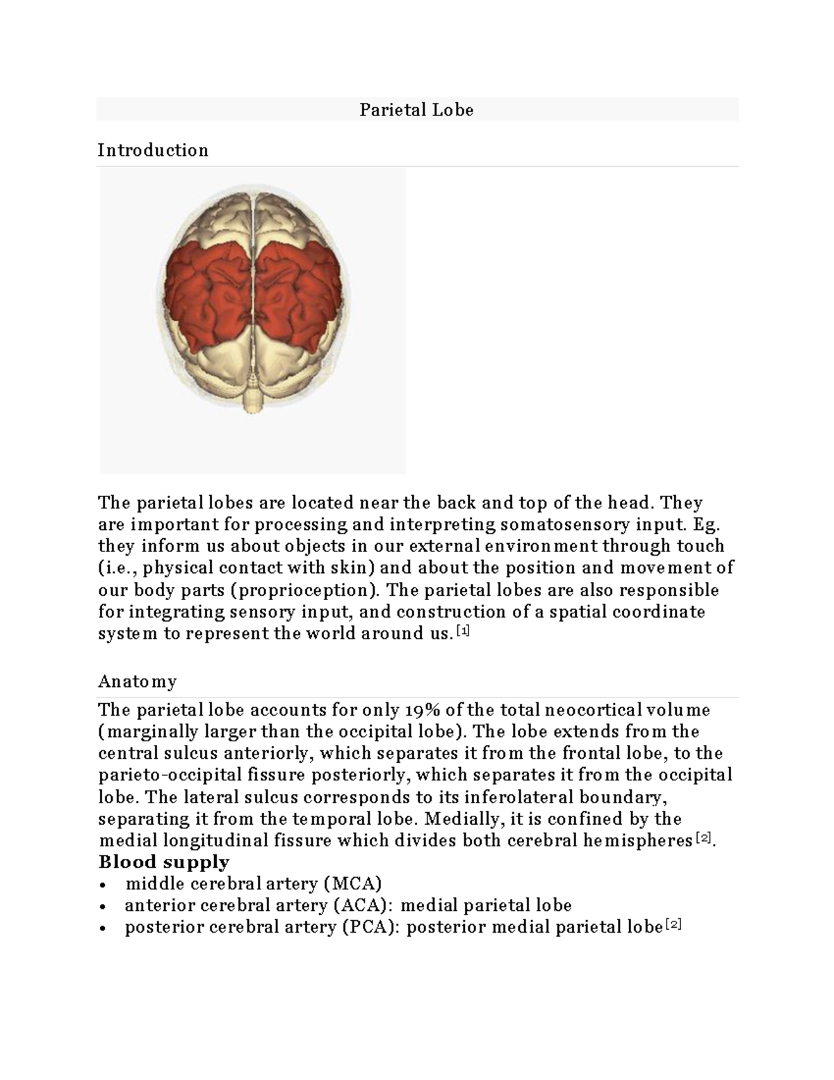 Parietal Lobe Parietal Lobe Introduction The Parietal Lobes Are Located Near The Back And Top