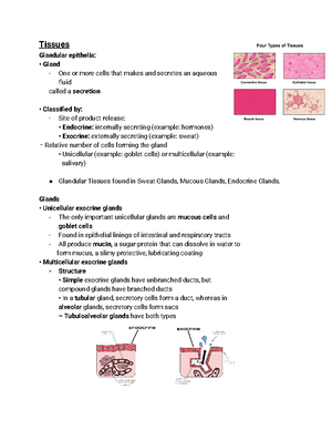 Chapter 4 Homework-1 3 - Tissues - ####### 55 This Chapter Introduces ...