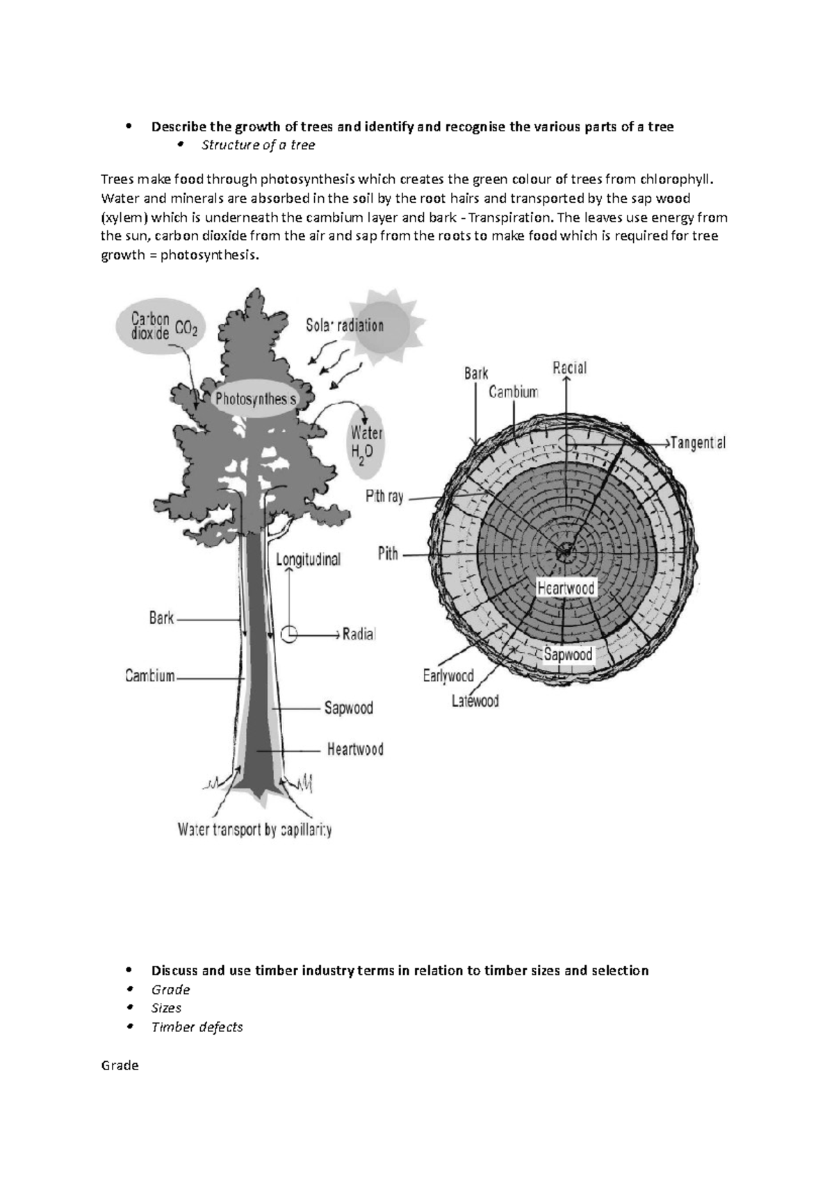 Wood tec notes Describe the growth of trees and identify and