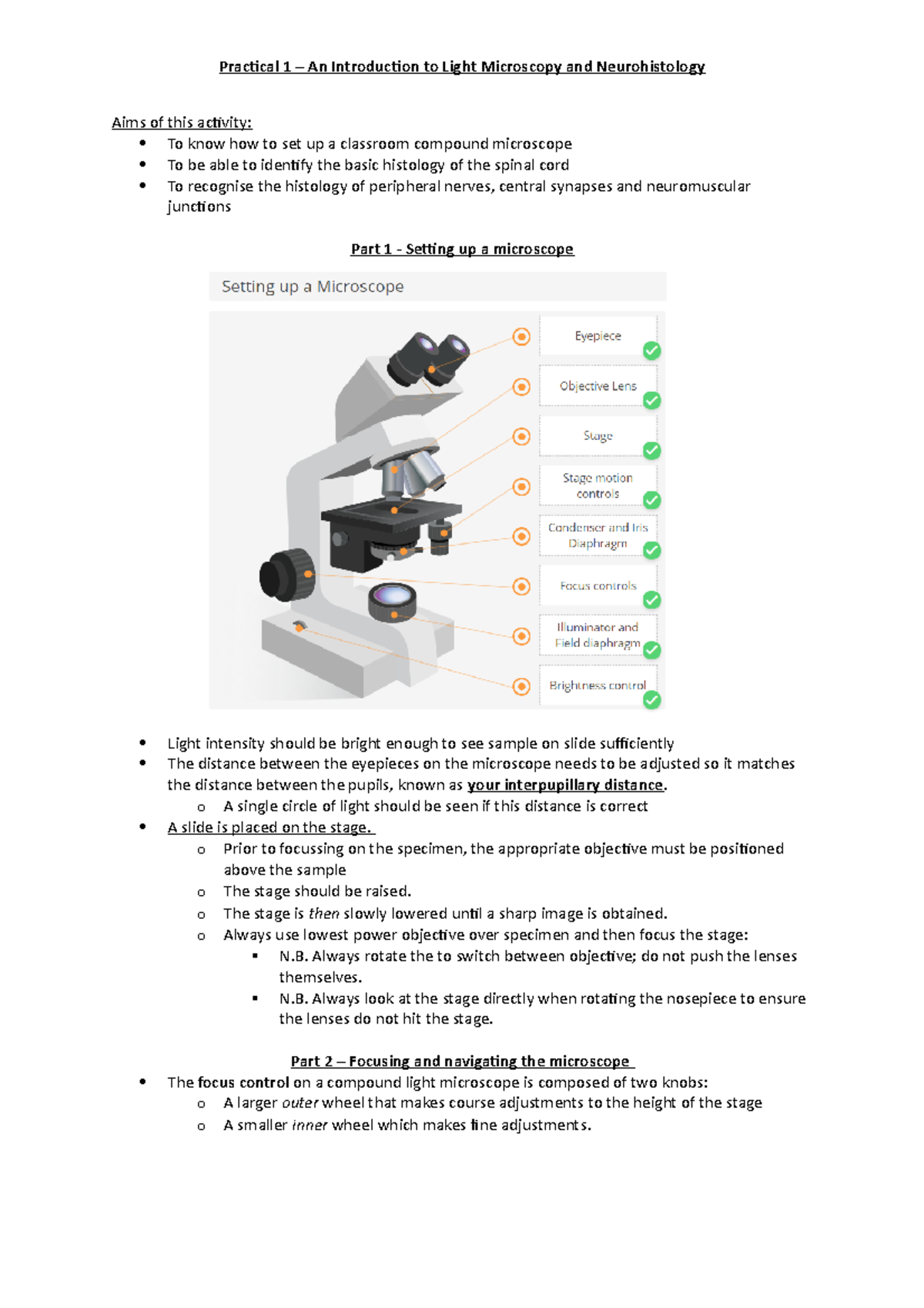 Practical 1 - Introduction To Microscopy - Pracical 1 – An Introducion ...