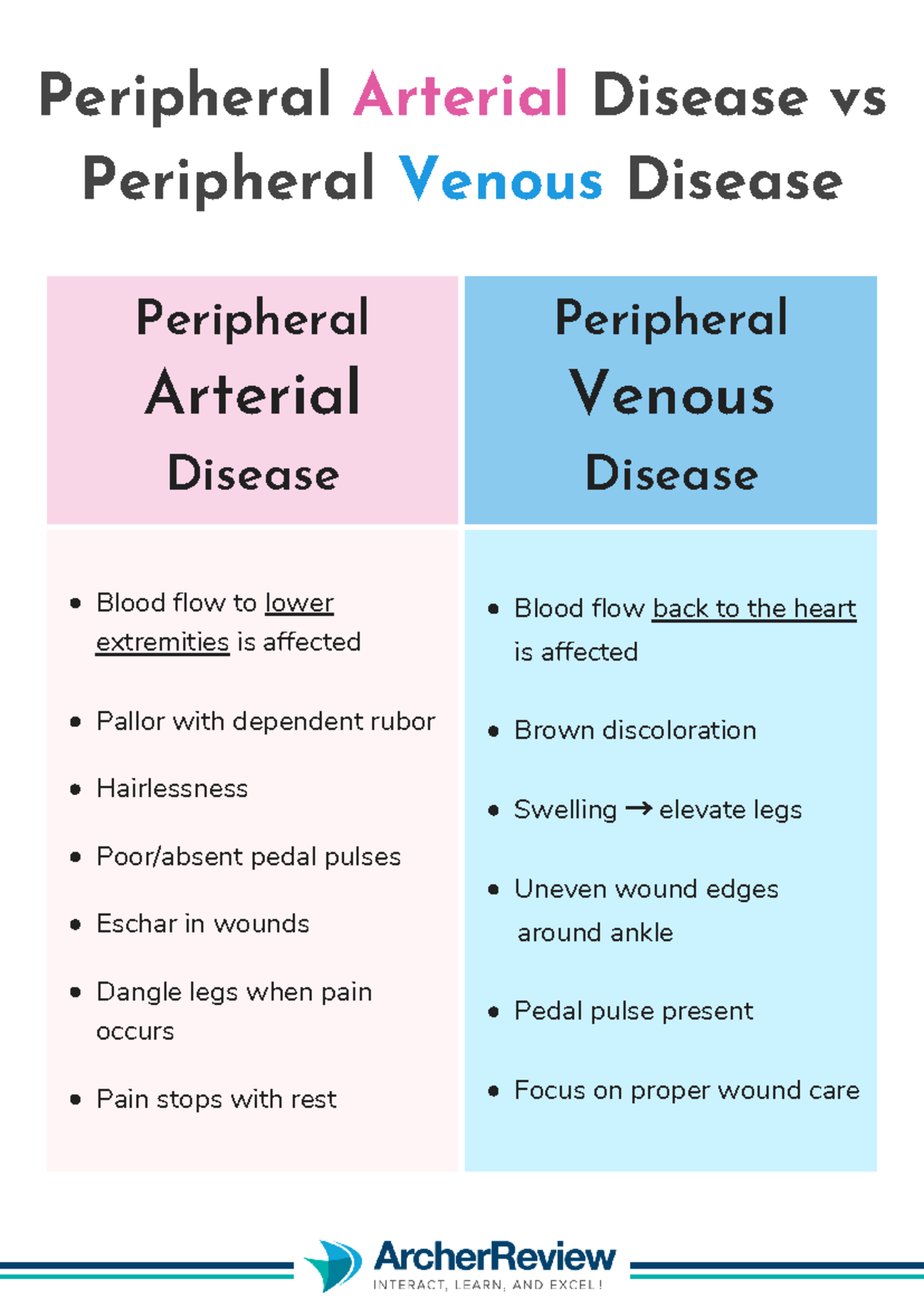 Archer PVD VS PAD - Med surg - Peripheral Arterial Disease vs ...