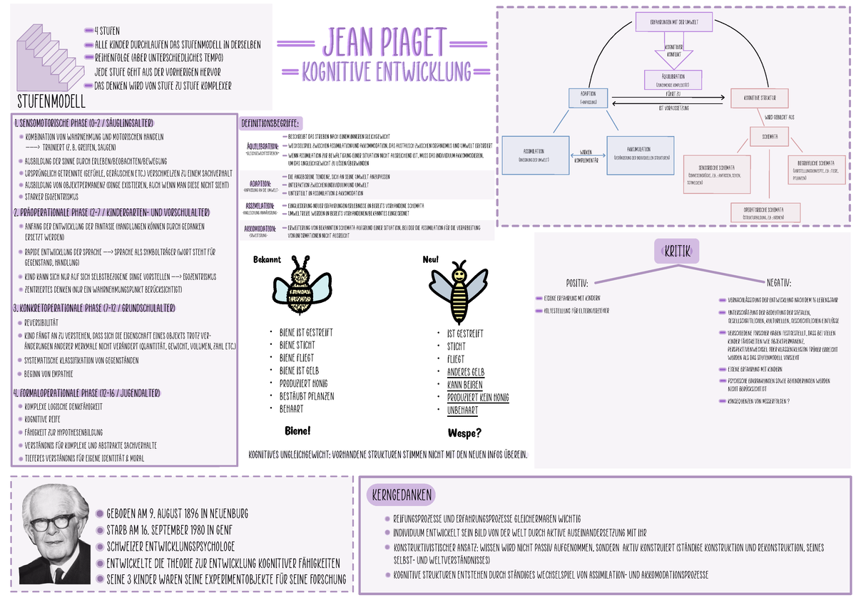 Jean Piaget Kognitive Entwicklung Jean Piaget Kognitive