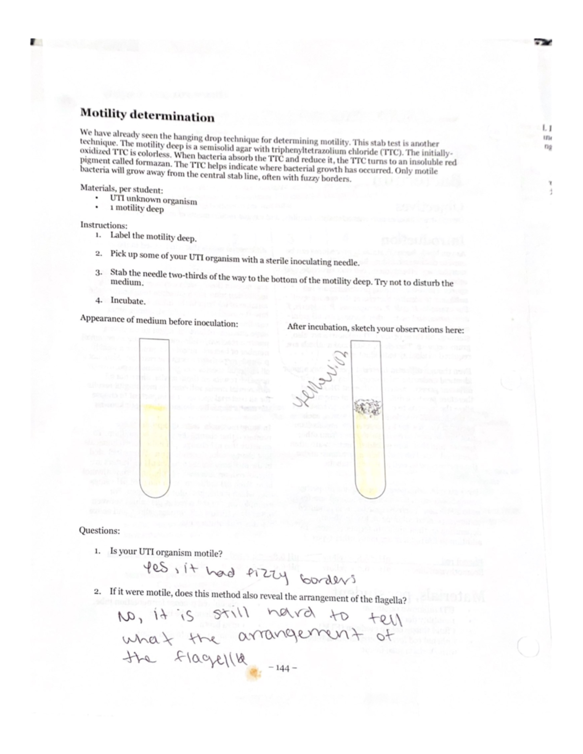 Pigment called formazan. The oxidized TTC is colorless. When bacteria ...