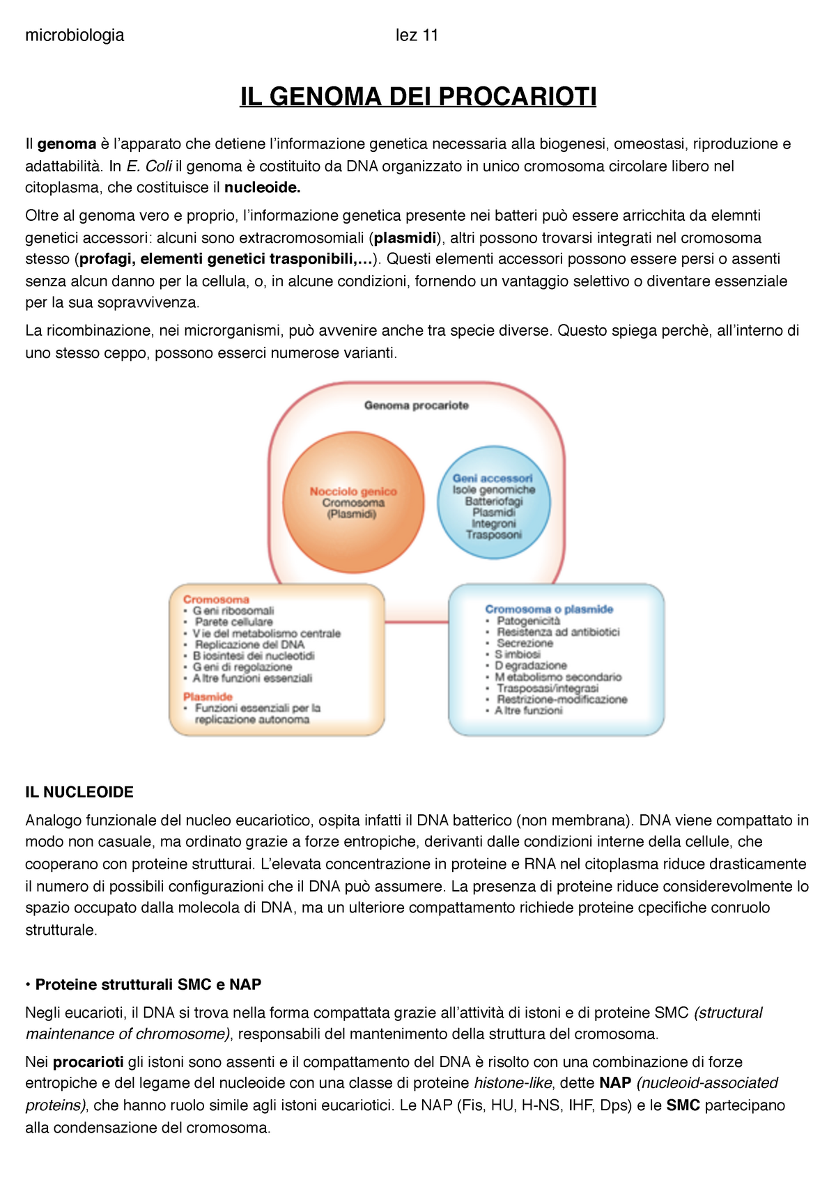 Gli elementi della genetica. Genetica. Il citoplasma di morire. A pochi  (troppo pochi per mostrare nello schema di Fig. 41) Anche contengono  plastidi di entrambi i generi e produrre piante che