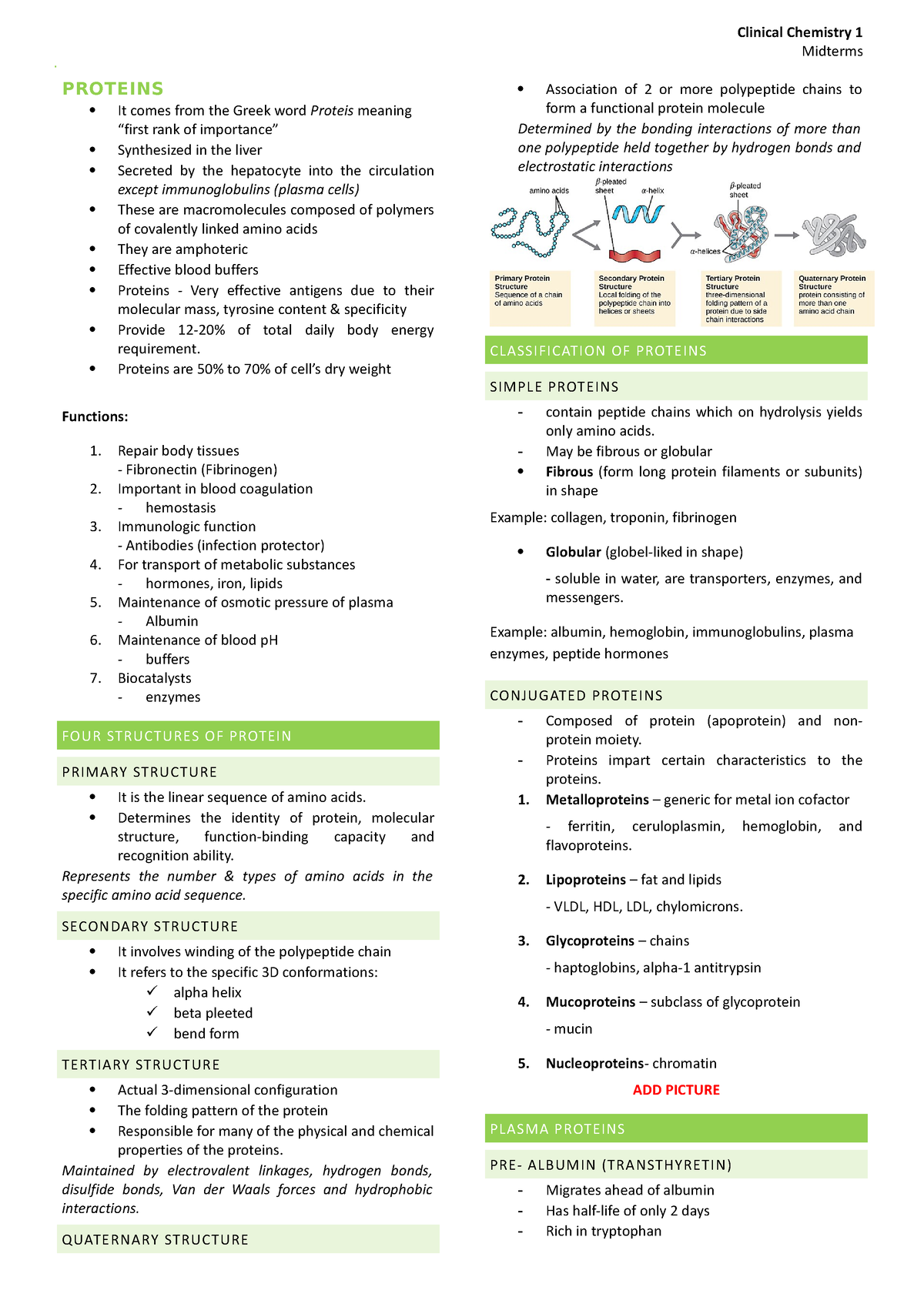 Proteins Trans - notes - Clinical Chemistry 1 Midterms PROTEINS It ...