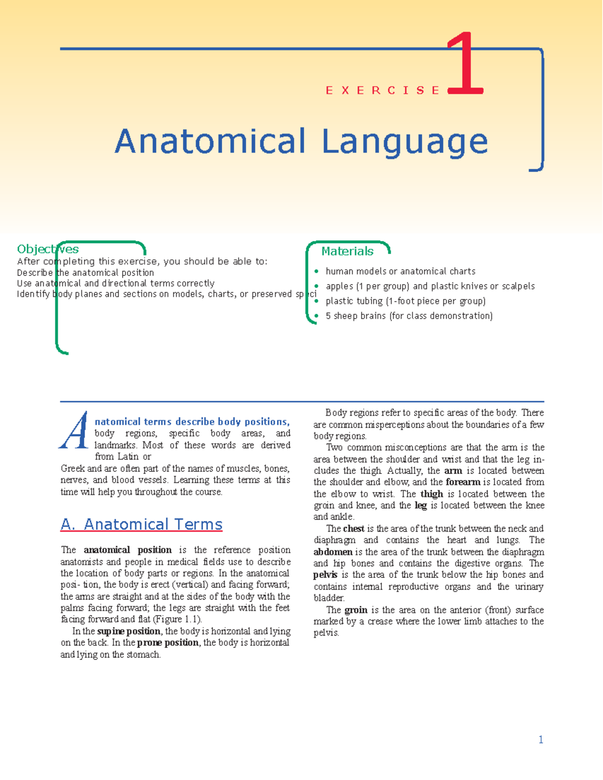 Inbound 1562473824888565111 - E X E R C I S E 1 Anatomical Language ...