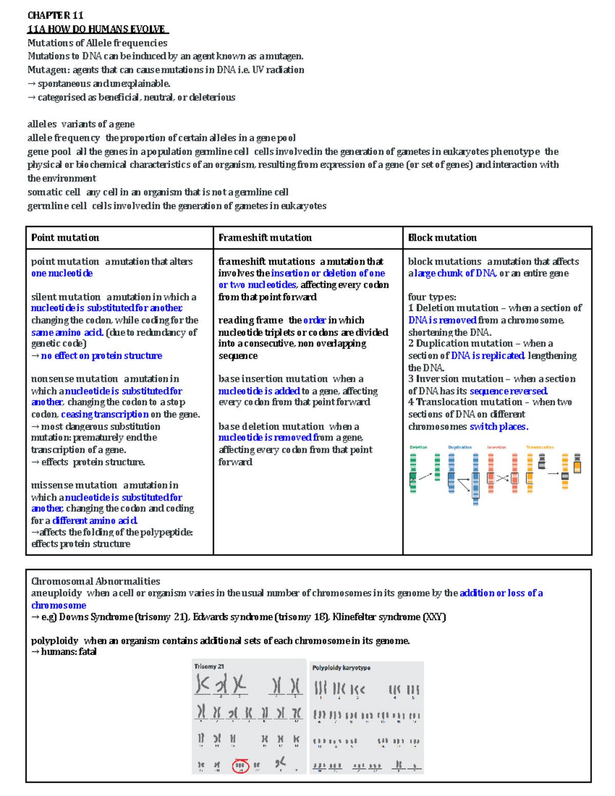 unit 4 AO2 evolution - CHAPTER 11 11A HOW DO HUMANS EVOLVE **Mutations ...