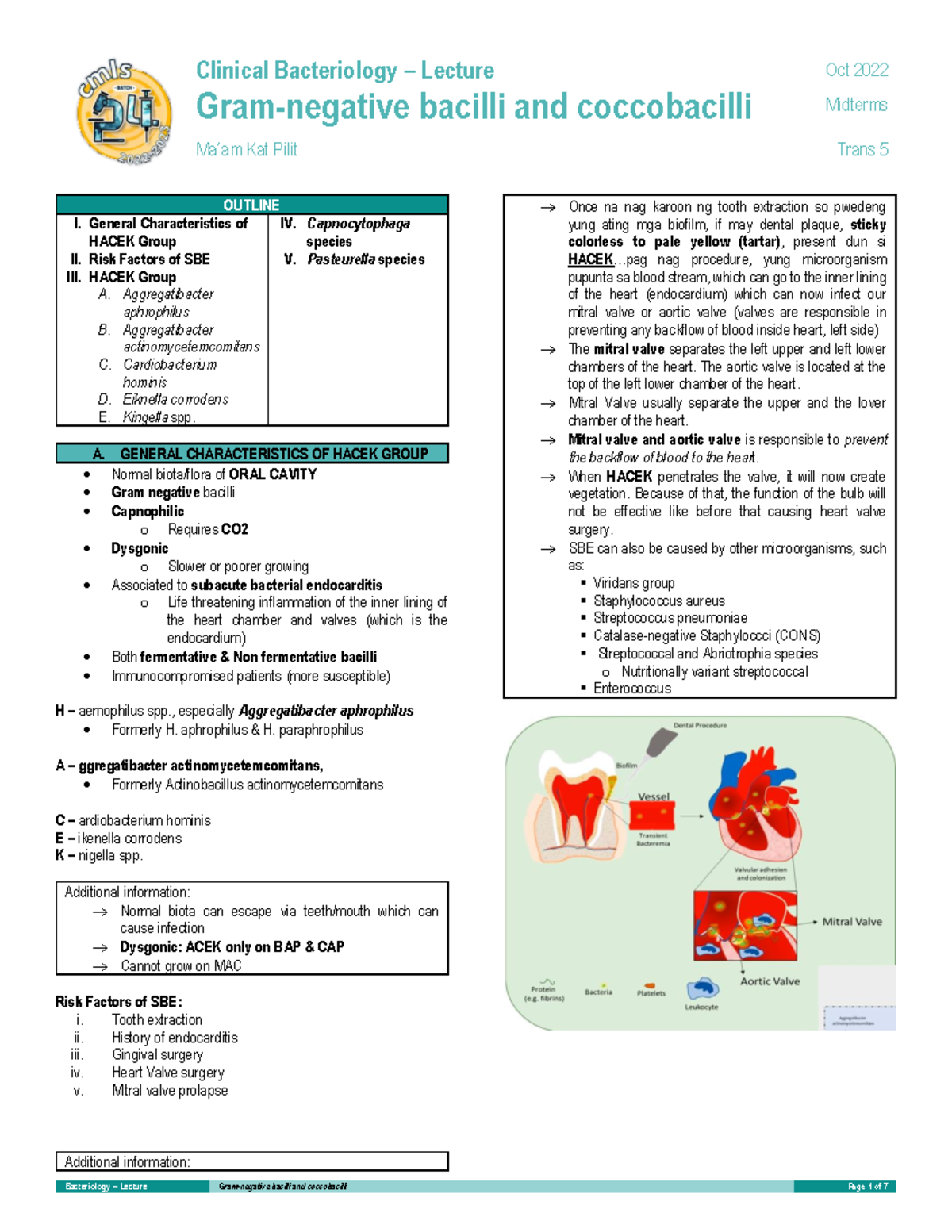 M-Trans 5-Clinical Bacteriology-Lecture-Gram Negative Bacilli and