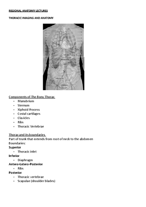 Neurology - weakness patterns - CAP 37 HAP 33 Kevin Gervin 7/2/ Upper ...