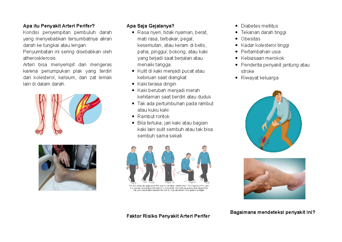 leaflet-penyakit-arteri-perifer-apa-itu-penyakit-arteri-perifer
