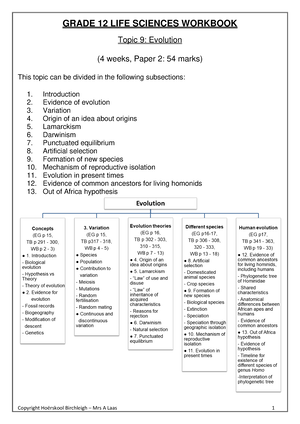 life of pi religion essay grade 12