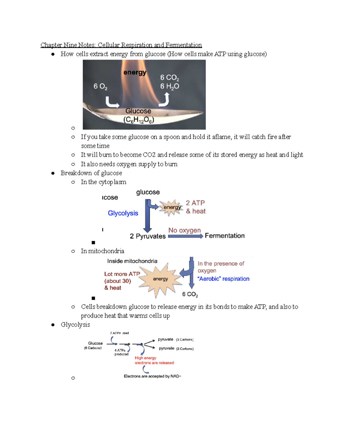 Lecture Notes and Chapter Notes - Chapter Nine Notes: Cellular ...