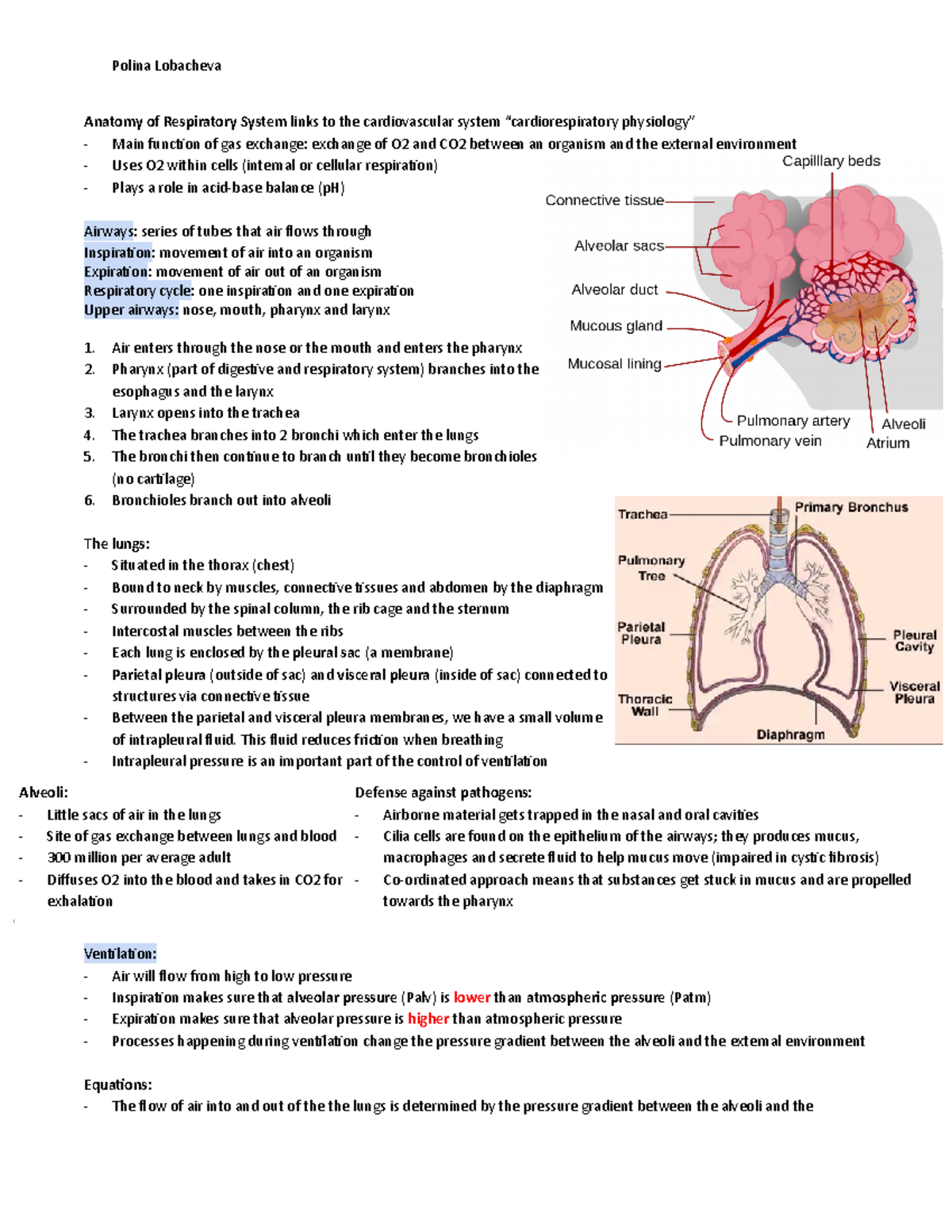 Respiratory Systems - This luid reduces fricion when breathing ...