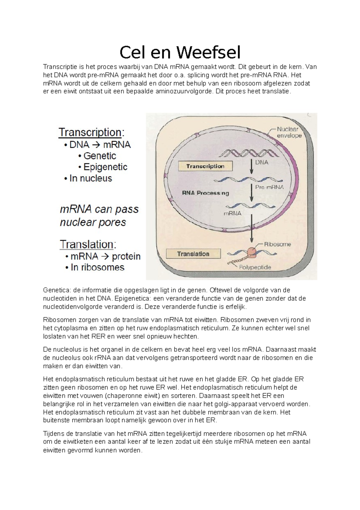 College 4 - Cel En Weefsel Transcriptie Is Het Proces Waarbij Van DNA ...