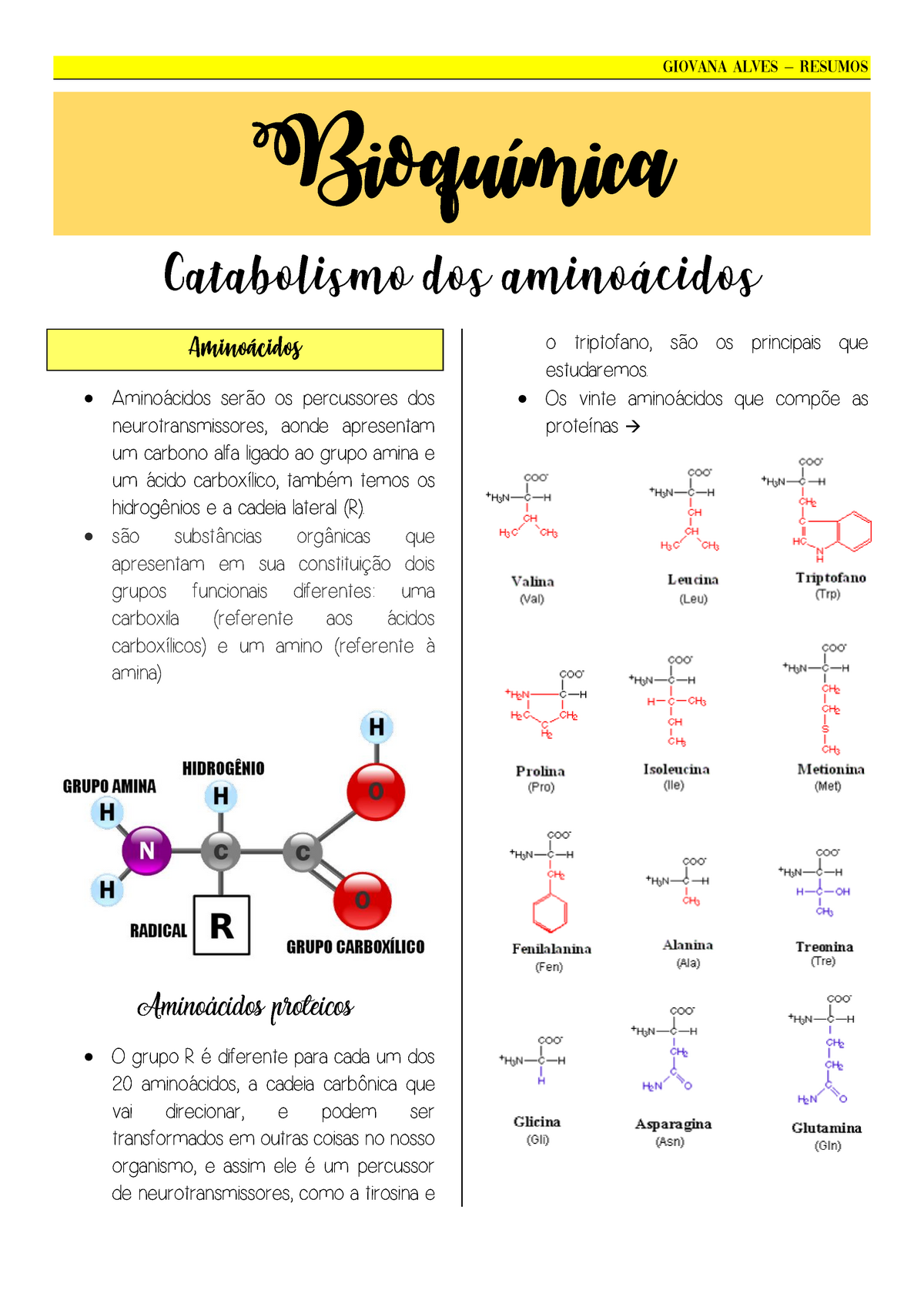 Catabolismo Dos Aminoácidos Resumo - Giovana Alves – Resumos Bioquímica ...