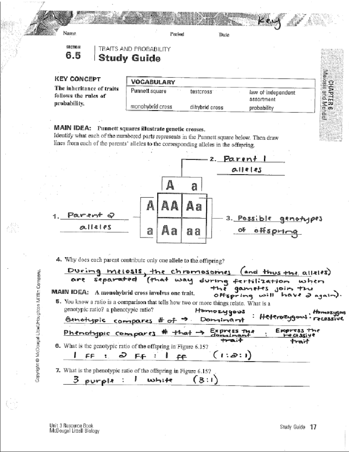 Study guide 6 Ap biology cheat sheet key Name Period Date SECTION