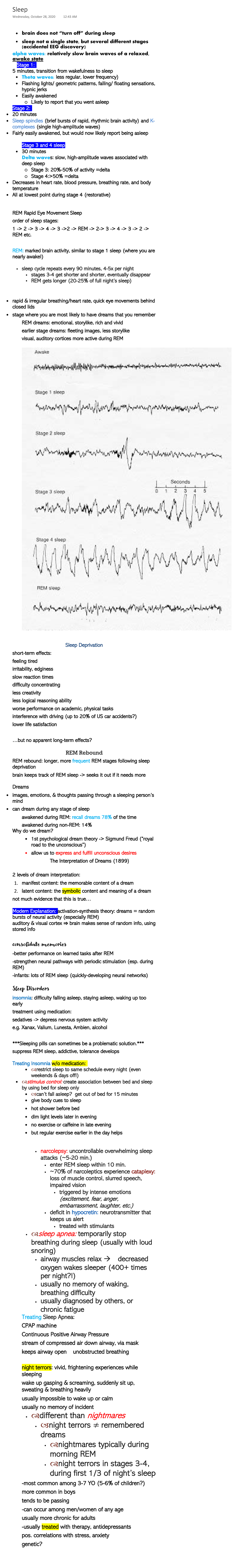 Sleep Notes (Psychology) - brain does not “turn off” during sleep sleep ...