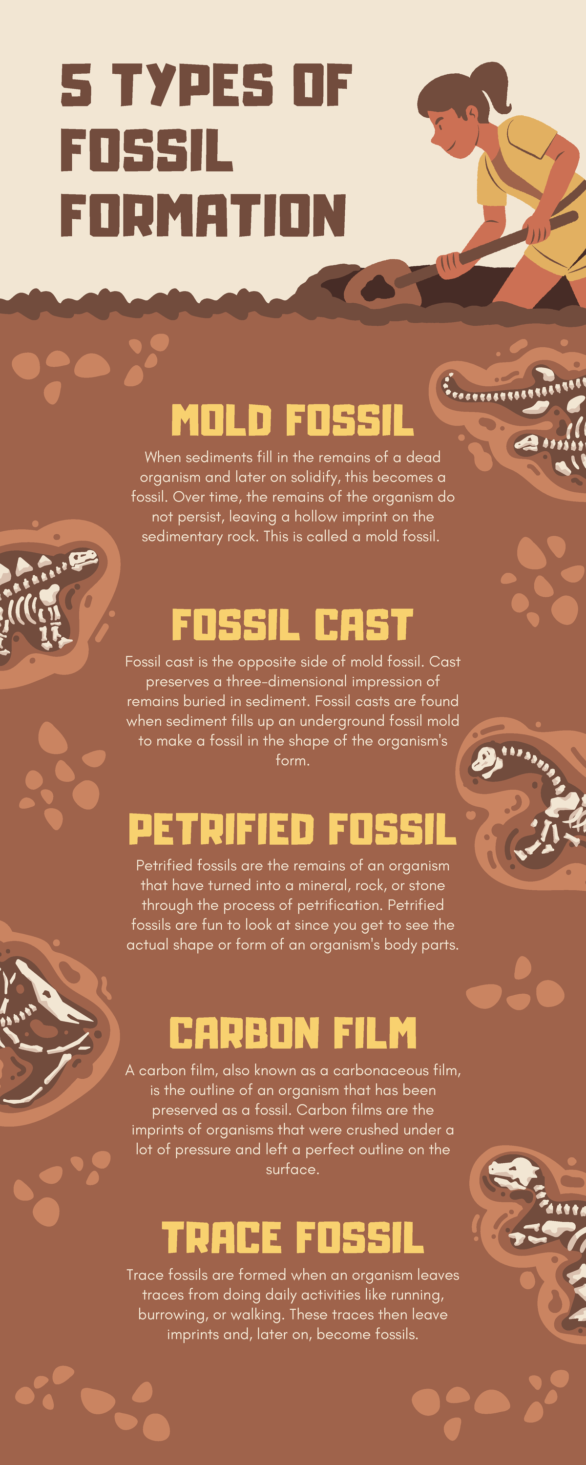 Fossil 5 TYPES OF FOSSIL FORMATION MOLD FOSSIL When sediments fill in