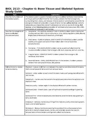 Biol 2113 Ch10 Study Guide - BIOL 2113 – Chapter 10: Muscle Tissue ...