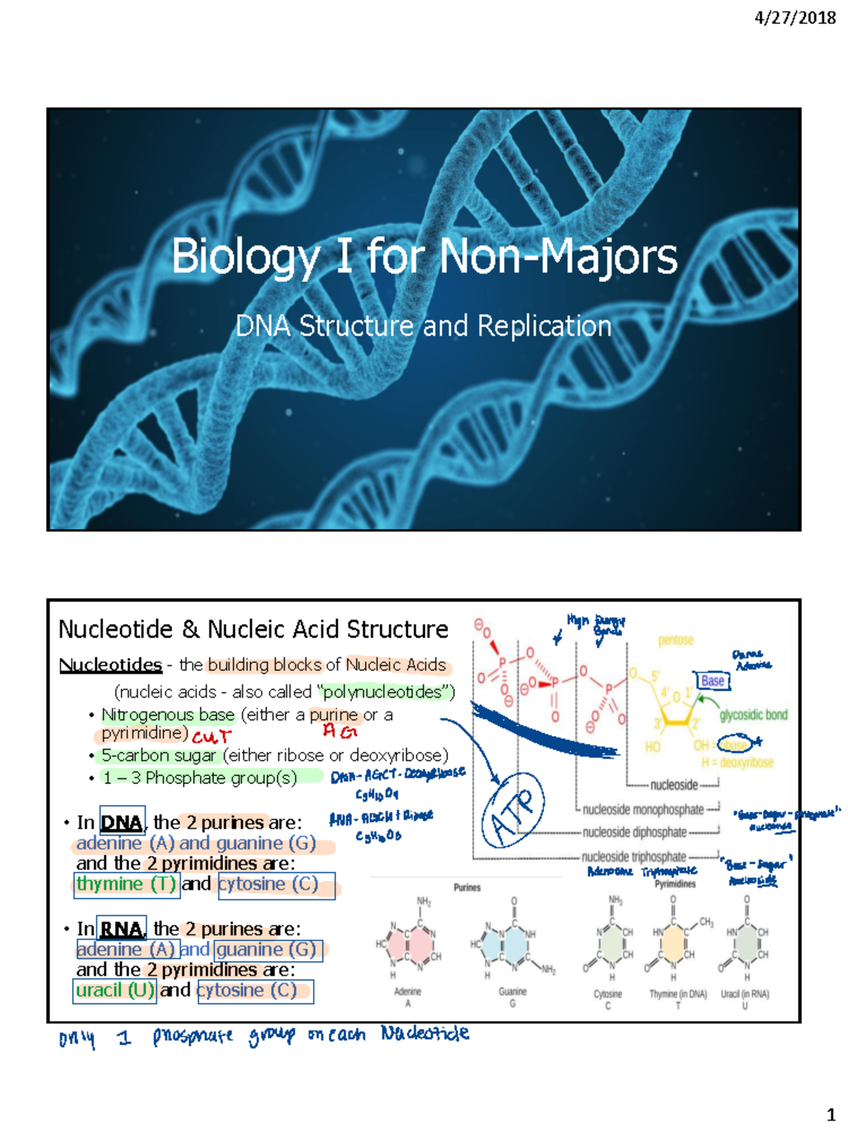 BIO 101 Module 8 lecture slides - Biology I for Non-Majors DNA ...