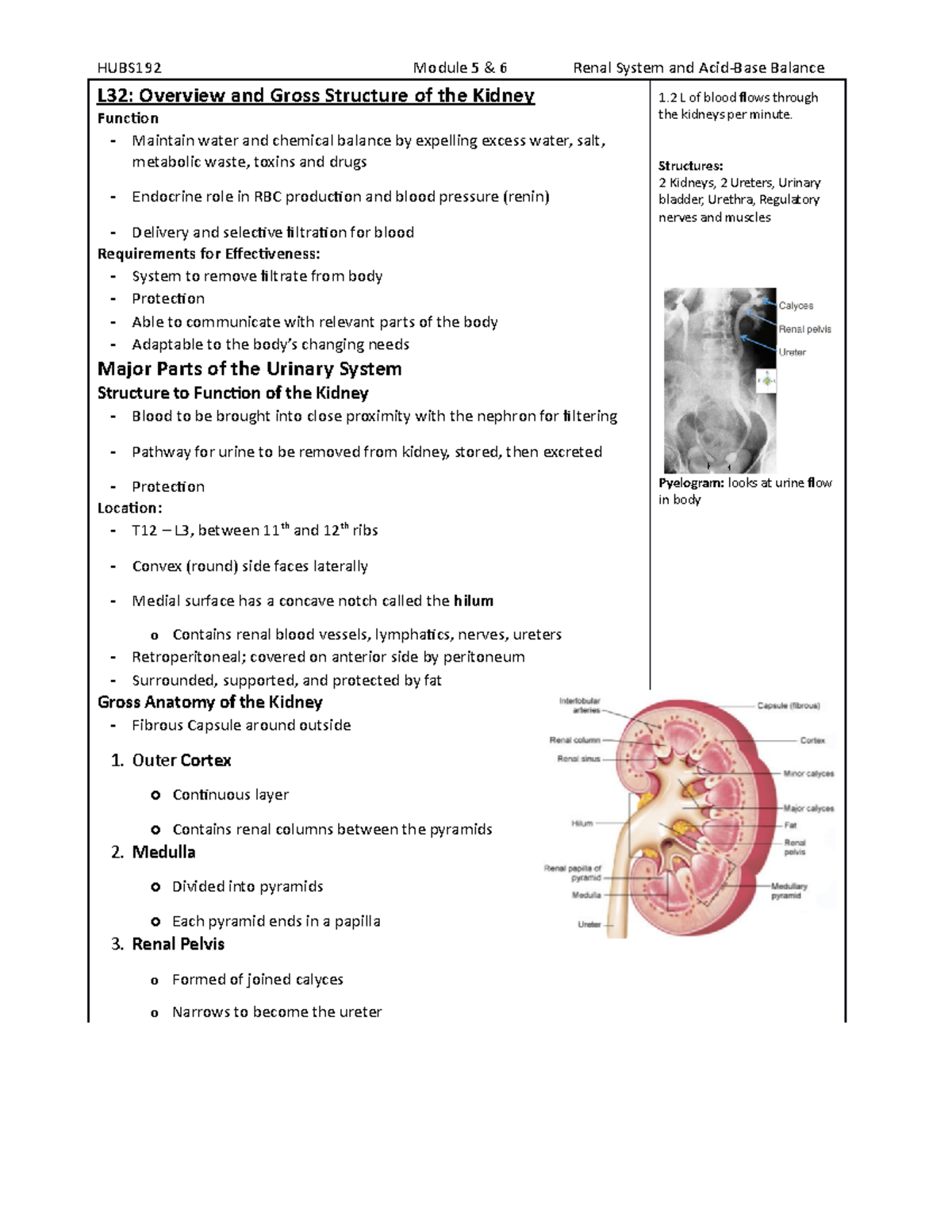 05 Renal System - Module 5 - L32: Overview and Gross Structure of the ...