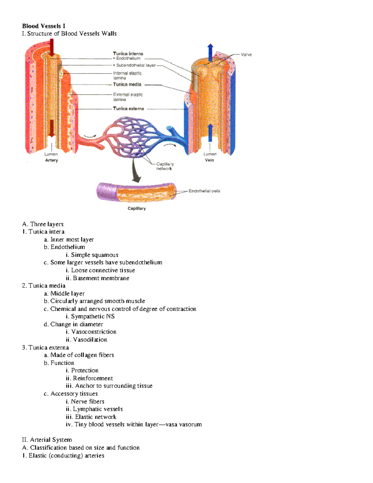 Blood Pressure - Professor: Anthony U. - Blood Vessels I I. Structure ...