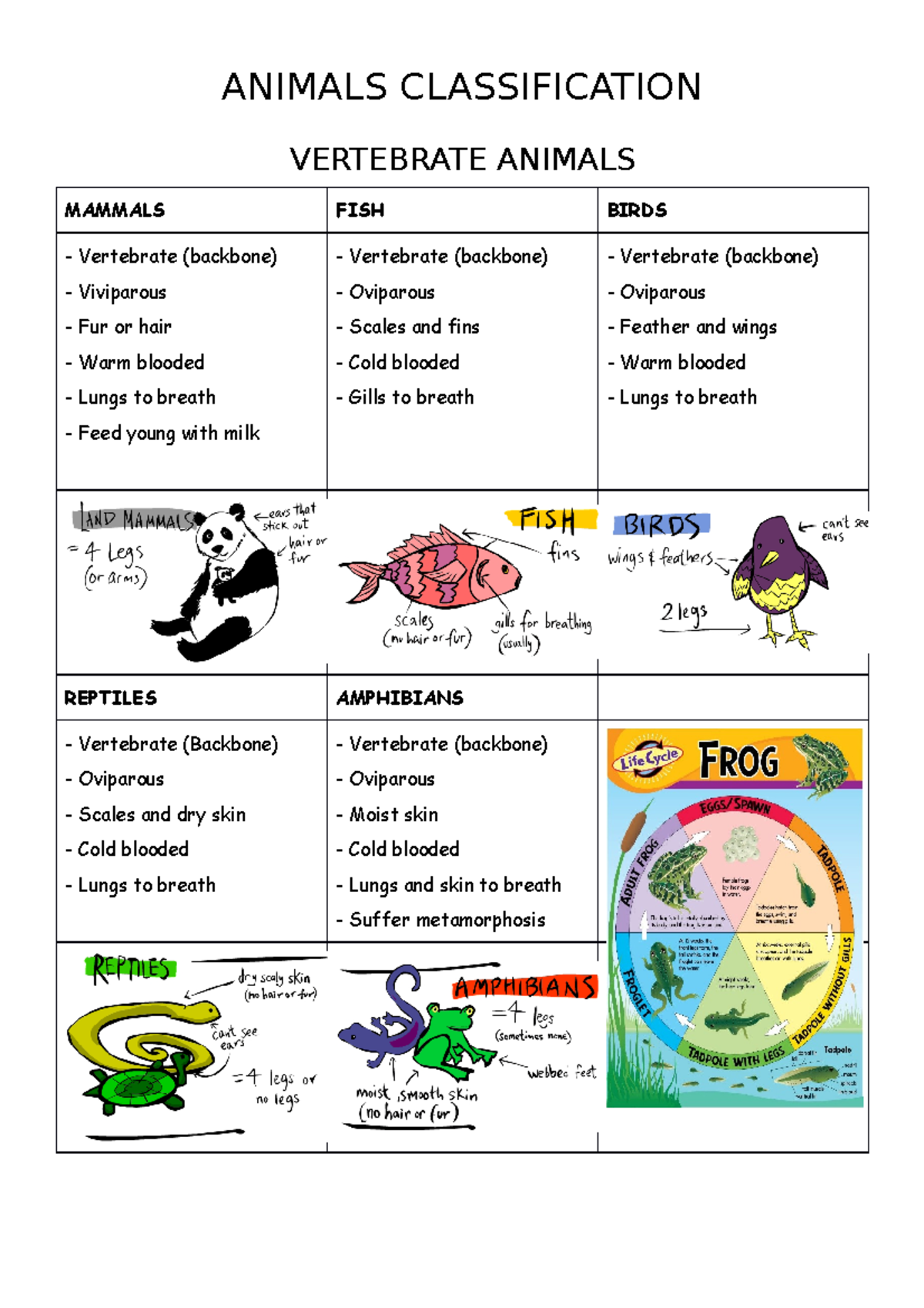 Animals Classification - ANIMALS CLASSIFICATION VERTEBRATE ANIMALS ...