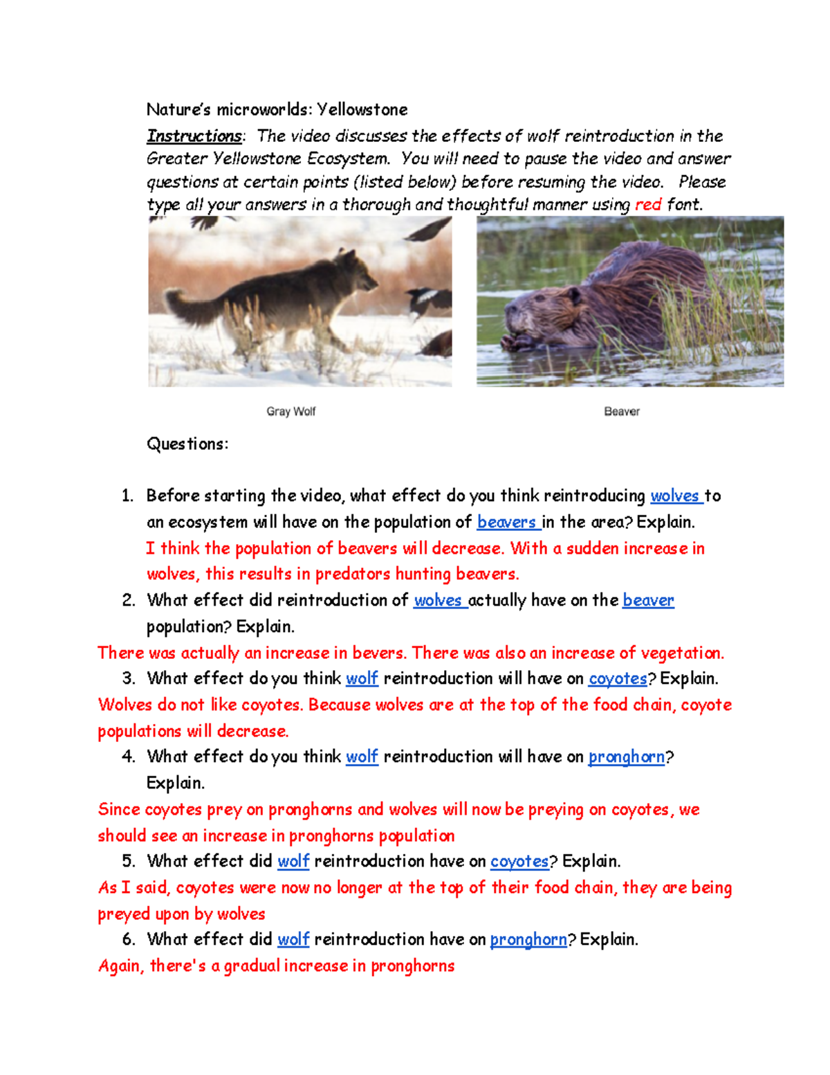 yellowstone case study answer key