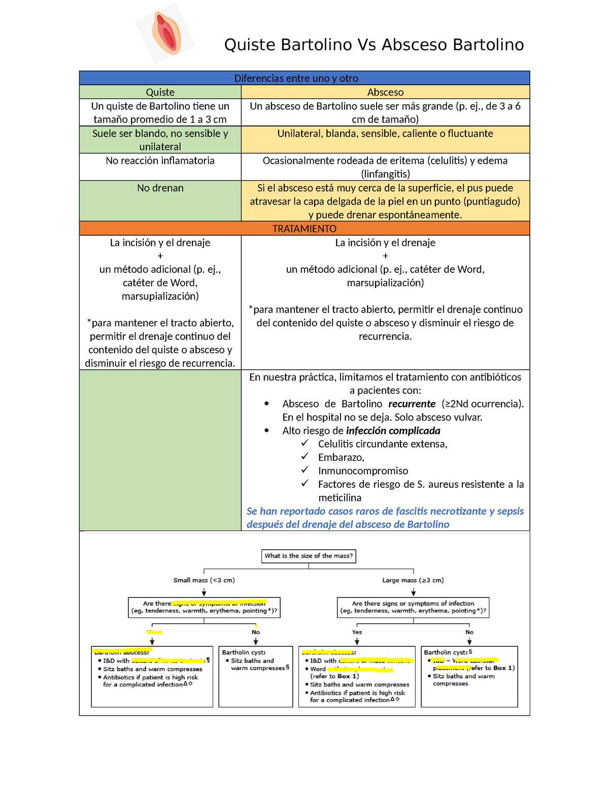 Patologia de la glandula de Bartolino - Quiste Bartolino Vs Absceso ...