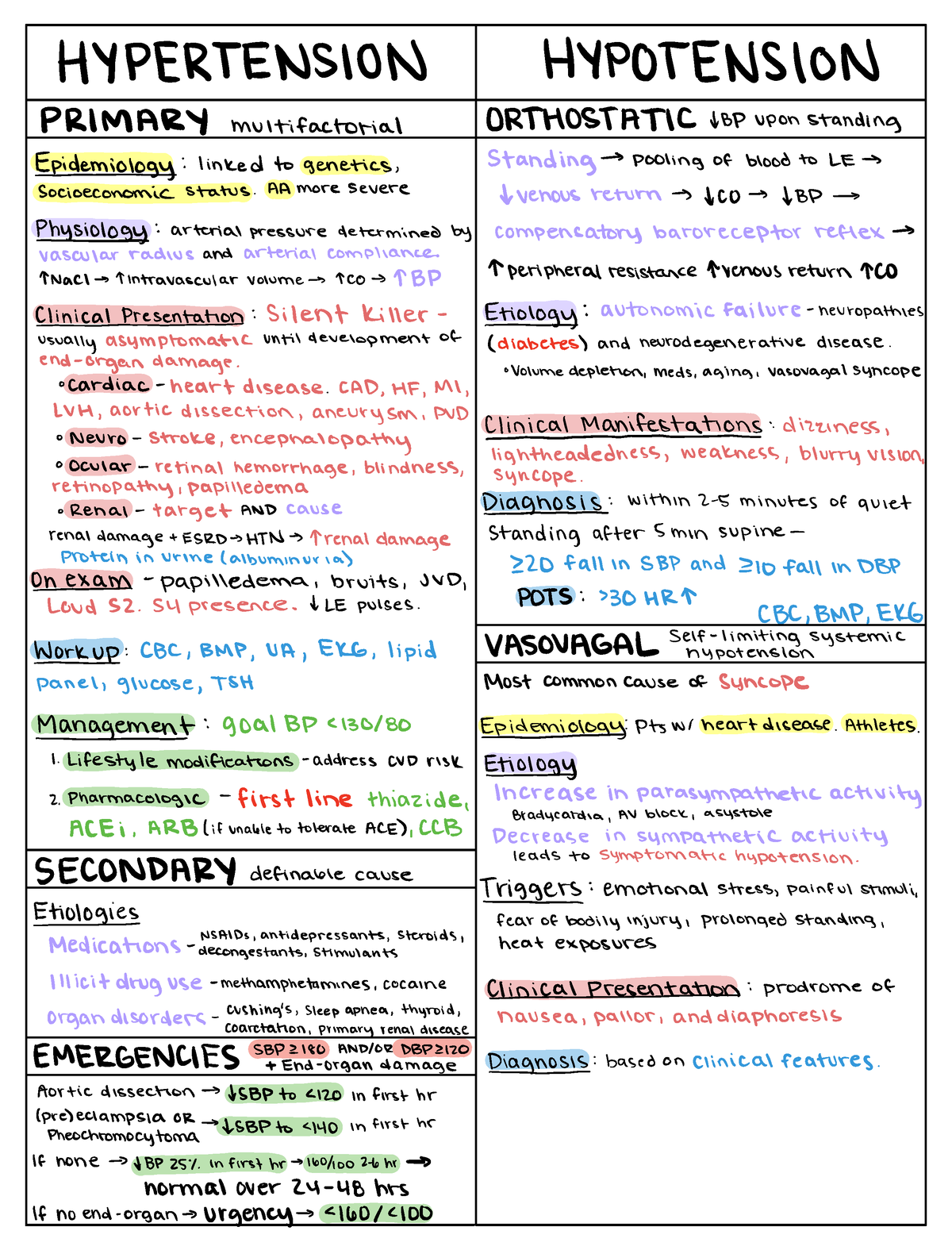 Hyper and Hypotension - In depth, detailed notes on the levels of blood ...