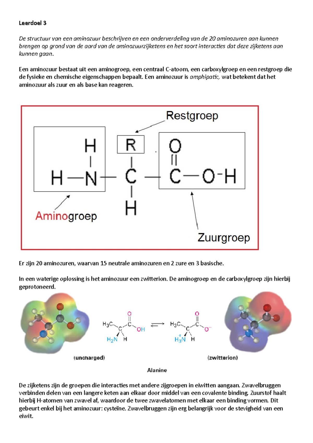 Leerdoel 3 & 4 - Leerdoel 3 De Structuur Van Een Aminozuur Beschrijven ...