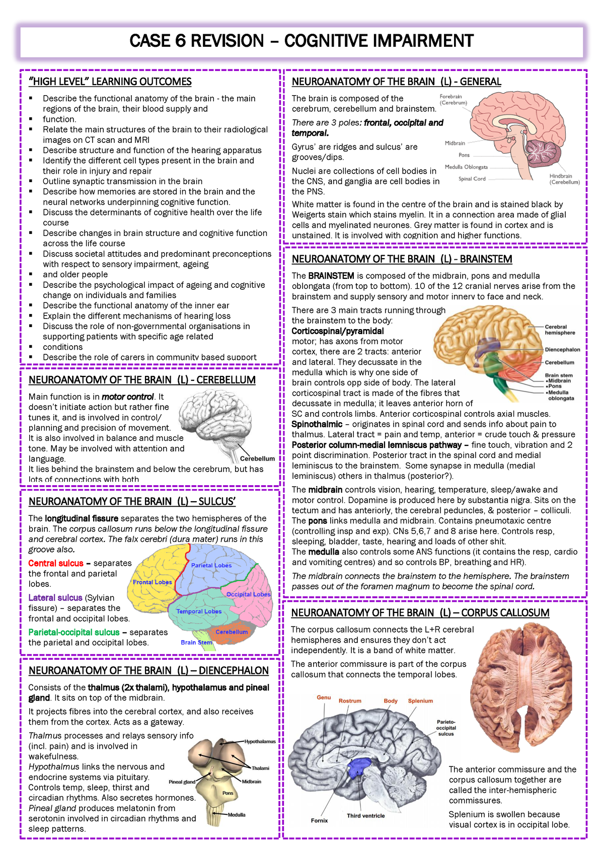 Case 6 - Cognitive Impairment - “HIGH LEVEL” LEARNING OUTCOMES Describe ...