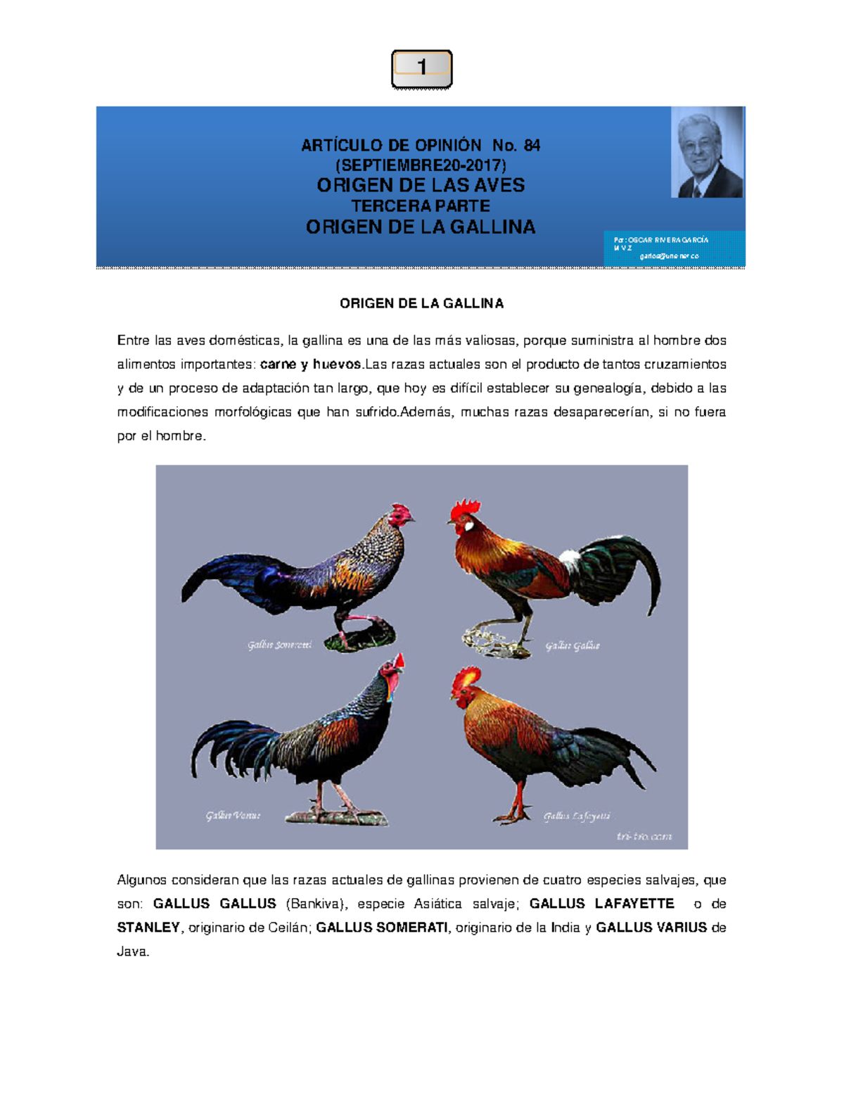 Cómo Se Dice En Inglés Gallina Origen de la gallina - ORIGEN DE LA GALLINA Entre las aves domésticas, la  gallina es una de las más - StuDocu