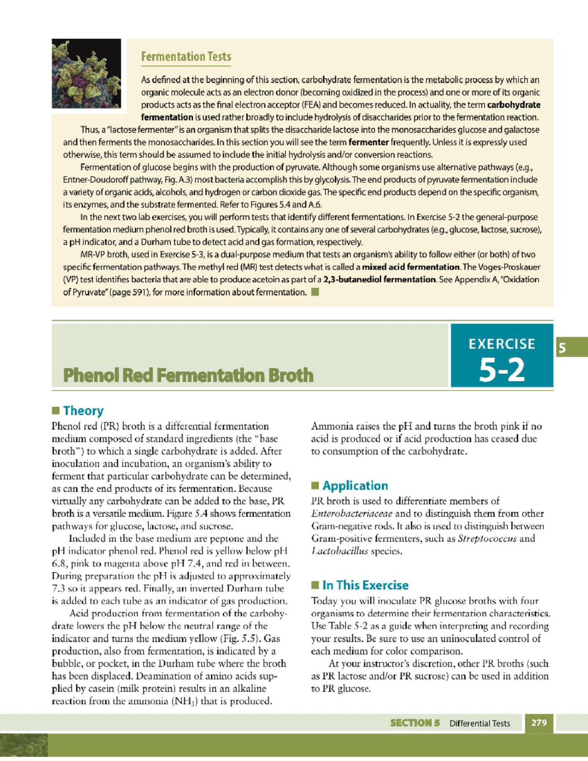 Lab Ex 52Phenol Red Fermentation Broth BIOL3401 UTRGV Studocu
