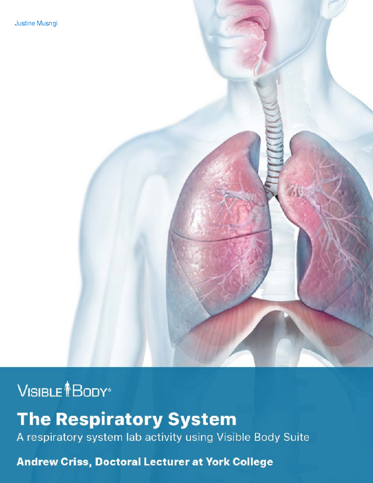 Lab Manual Respiratory Atlas - Pre-lab Exercises Open Visible Body 